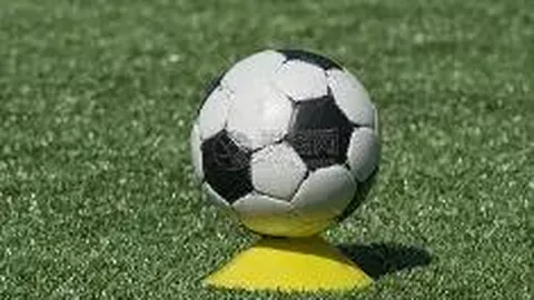 沙巴体育官网入口 资讯 092655 2d6