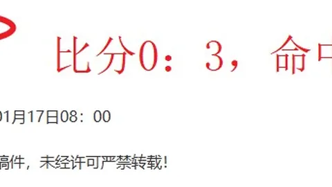 杨佳敏勇夺德国羽毛球公开赛女单冠军争夺战