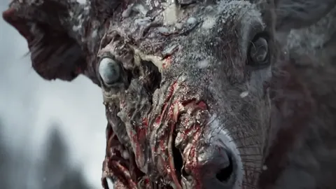 马雷斯卡赞：赢球关键，帕尔默进球暂缺席不损整体表现